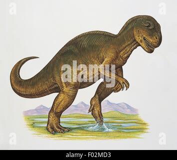 Palaeozoology - Jurassic Period - Dinosaurs - Allosaurus (art work by Tony Gibbons) Stock Photo