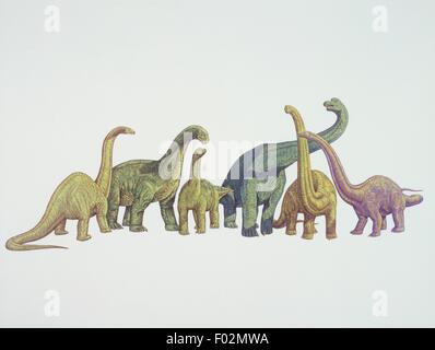 Palaeozoology - Jurassic Period - Dinosaurs - Cetiosaurus, Camarasaurus, Opisthocoelicaudia, Brachiosaurus, Mamenchisaurus, Diplodocus. Art work Stock Photo