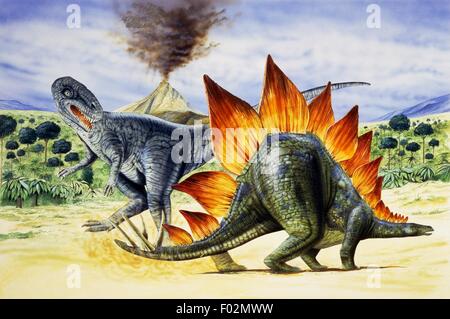 Palaeozoology - Upper Jurassic period - Dinosaurs - Stegosaurus - Art work Stock Photo