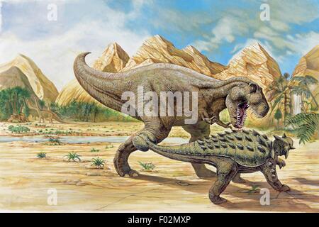 Palaeozoology - Cretaceous Period - Dinosaurs - Tyrannosaurus rex and Euoplocephalus. Art work Stock Photo