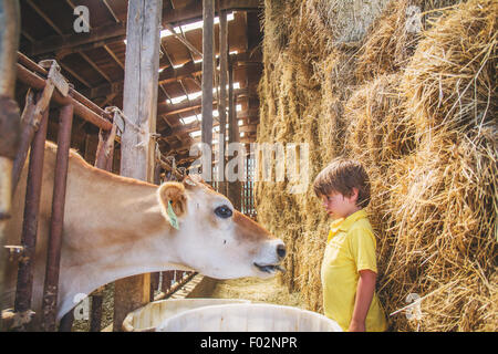 Boy on farm with a cow Stock Photo