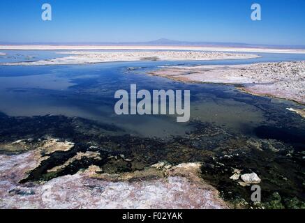 Build up of salt, Salar de Atacama, Chile. Stock Photo