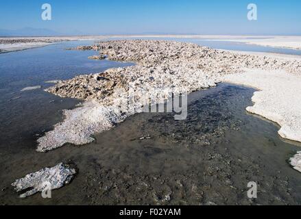 Build up of salt, Salar de Atacama, Chile. Stock Photo