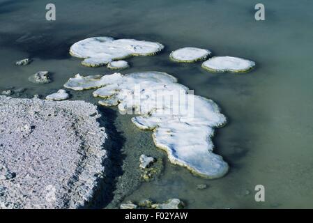 Build up of salt, Salar de Atacama, Chile. Stock Photo