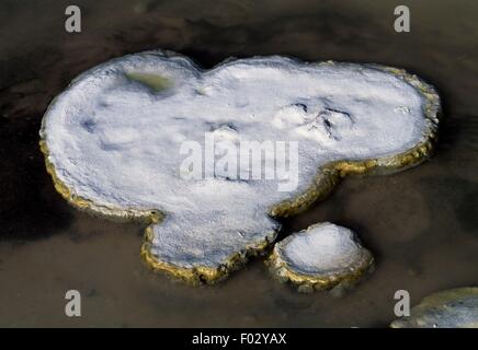 Build up of salt, Salar de Atacama, Chile. Stock Photo