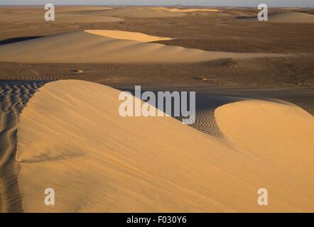 Dunes near Old Dongola, Nubian desert, Sahara Desert, Sudan. Stock Photo