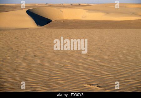 Sand dunes near Old Dongola, Nubian Desert, Sahara Desert, Sudan. Stock Photo