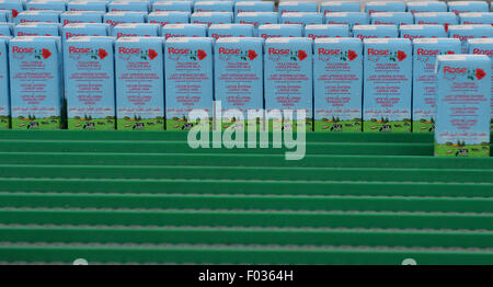 Zeven, Germany. 05th Aug, 2015. Milk cartons for foreign markets are moved by a conveyor belt at a local branch of German milk company Deutscher Milchkontor (DMK) in Zeven, Germany, 05 August 2015. Photo: Carmen Jaspersen/dpa/Alamy Live News Stock Photo