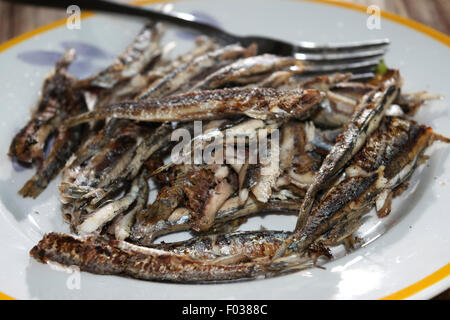 fresh anchovies of market of the mediterranean sea roasted on the griddle Stock Photo