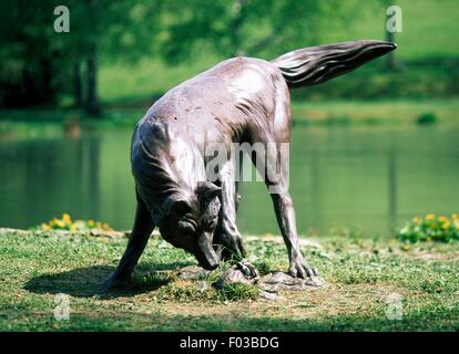 Sculpture of a wolf, Visitor Centre at Orecchiella Natural Park in the town of Orecchiella, Garfagnana, Tuscany, Italy. Stock Photo