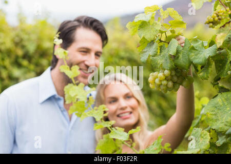 Young happy couple looking at grapes Stock Photo
