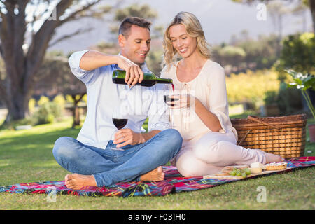 https://l450v.alamy.com/450v/f03jh0/smiling-couple-sitting-on-picnic-blanket-and-pouring-wine-in-glass-f03jh0.jpg