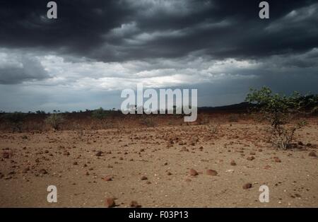 Namibia, Damaraland Wilderness Area, storm clouds over desert
