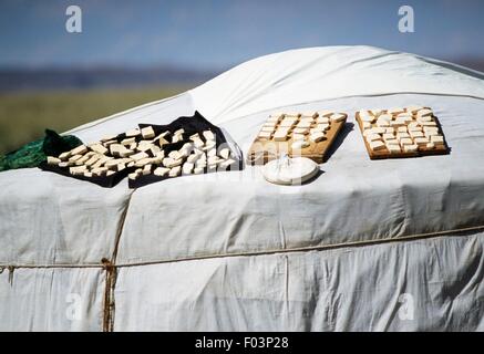 Cheeses made from horse milk left to dry on the roof of a yurt (home of the nomadic peoples of Asia), Gobi Desert, Orog Nuur lake, Mongolia. Stock Photo