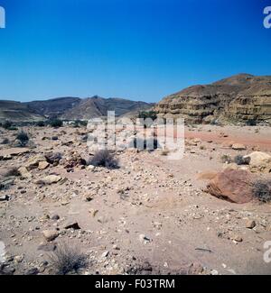 The Wadi Ardon, the ancient road used by the Nabateans to the spice ...