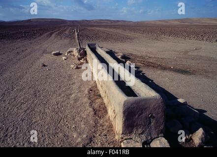 Drinking trough, near Dezful, Khuzestan Province, Iran. Stock Photo