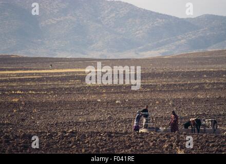 Farmers and animals at a drinking trough, near Dezful, Khuzestan Province, Iran. Stock Photo