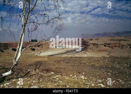 The Dez River near Dezful, with Zagros Mountains in the background, Khuzestan Region, Iran. Stock Photo