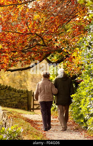 A senior couple walk beneath autumn tinted leaves in woodland on the Longshaw Estate in the Peak District, England UK Stock Photo
