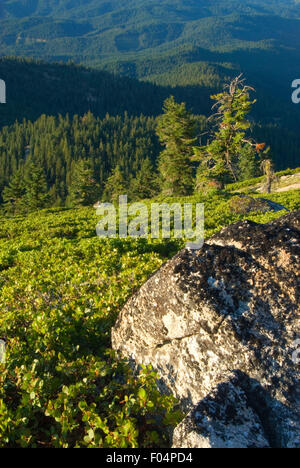 View from Mt Ashland, Rogue River National Forest, Oregon Stock Photo