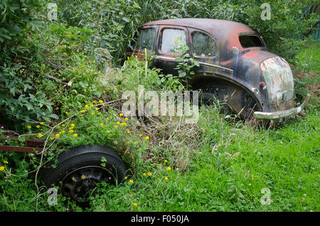 Derelict Austin A40 car in bushes, near Eketahuna, Wairarapa, North Island, New Zealand Stock Photo