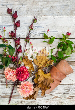 autimn flowers and berries on a rustic surface Stock Photo