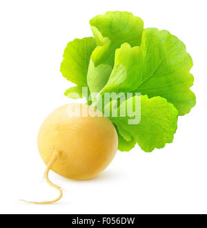 Yellow turnip isolated over white Stock Photo