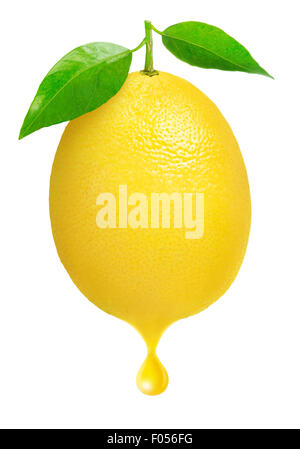 Fresh lemon with a drop of juice isolated on white Stock Photo