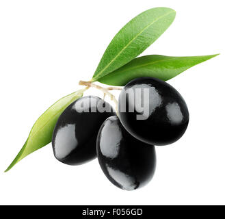 Three black olives on branch with leaves isolated on white Stock Photo