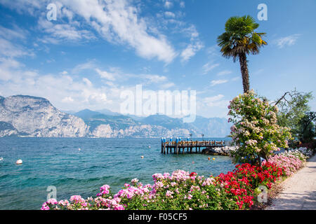 Flowers at the water front of Lake Garda (Italy) Stock Photo