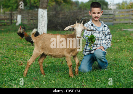 little boy feeding goat in the garden Stock Photo