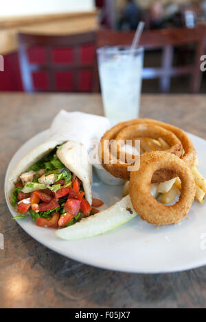 Chicken Pita Wrap and Onion Rings Stock Photo