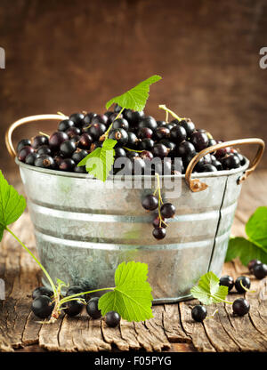 Fresh blackcurrant Stock Photo