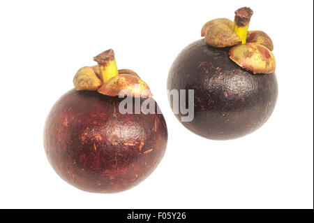 Fresh mangosteen isolated on white background Stock Photo