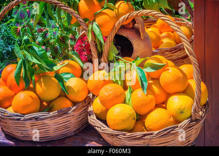Wicker basket full of large ripe oranges, decorated with green branches and flowers. Presents closeup. Stock Photo