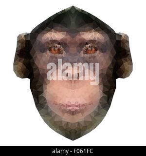 Head of a monkey in triangle style. Stock Vector