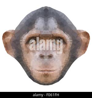 Head of a monkey in triangle style. Stock Vector