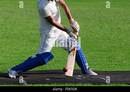 Italy, Lombardy, Cricket Sports Batsman Batting Stock Photo