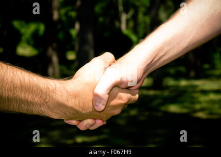 Two friends closing a deal with a handshake in the forest Stock Photo