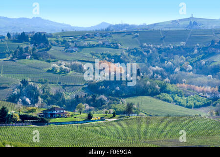 Monferrato, Piedmont,Italy: spring landscape near San Marzano Oliveto, Unesco World Heritage Stock Photo