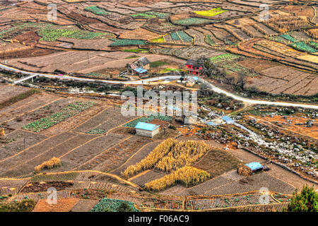 terraced farmland in Nepal Stock Photo