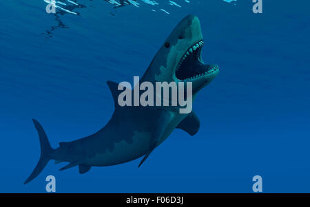 A Giant Megalodon Shark Stock Photo