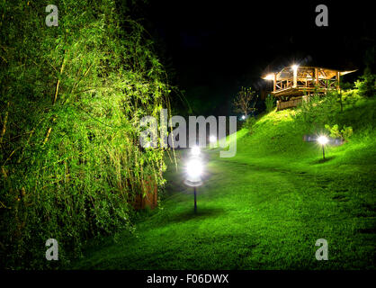 Wooden arbour and green osier at night Stock Photo