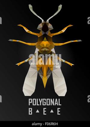 bee isolated on the white Stock Vector