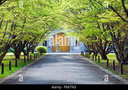 Tree lined avenue leading to the Abbaye Notre Dame de Scourmont in Walloon, Belgium Stock Photo