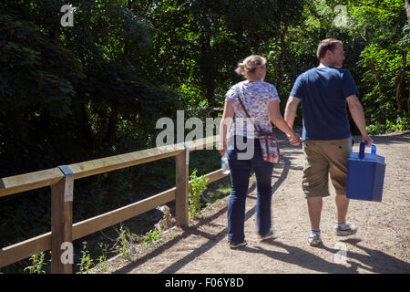 Pinewoods wildlife habitat at National Trust's Freshfield Reserve , Formby, Merseyside, UK. August, 2015.  Tourists visit the Formby Squirrel Nature Reserve to see the red squirrels in their natural environment & enjoy miles of coastal walks on a glorious summer afternoon. Stock Photo