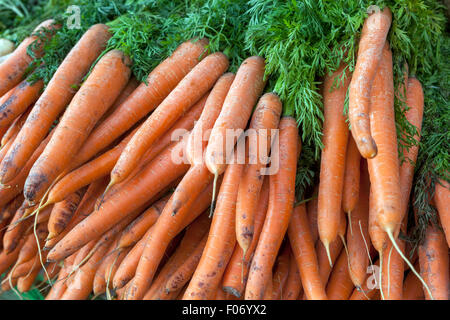 Carrot, carrots farmers market Stock Photo