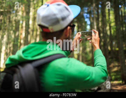 Man makes photos on a smartphone in the coniferous forest in the national park Durmitor, Montenegro, Balkans Stock Photo