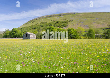 Wildflower meadows near the Dales village of Muker, Swaledale, Yorkshire Dales National Park, North Yorkshire, England, UK Stock Photo