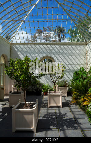 The Orangery in Fota House, Arboretum & Gardens, Near Cobh, County Cork, Ireland Stock Photo